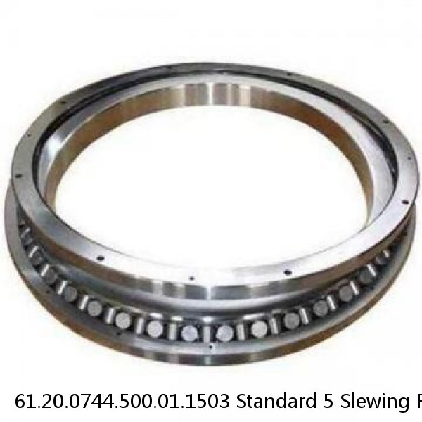 61.20.0744.500.01.1503 Standard 5 Slewing Ring Bearings