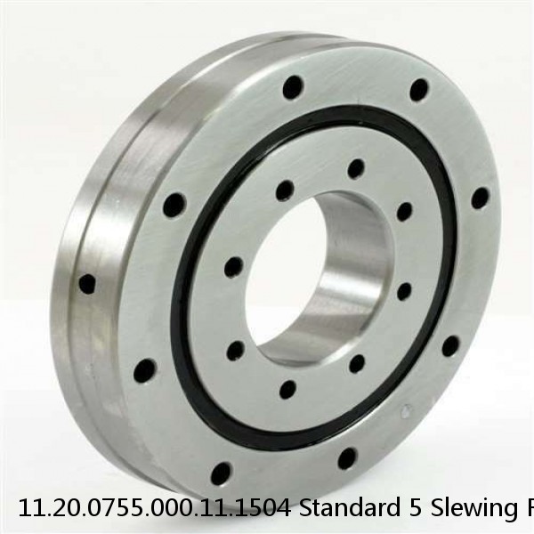 11.20.0755.000.11.1504 Standard 5 Slewing Ring Bearings