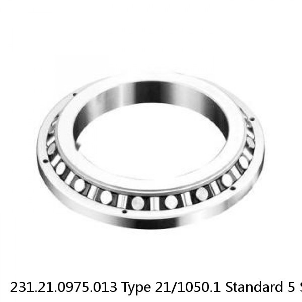 231.21.0975.013 Type 21/1050.1 Standard 5 Slewing Ring Bearings