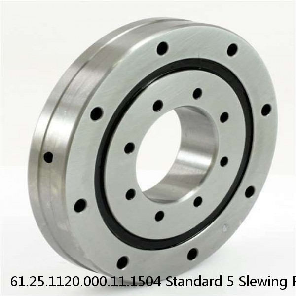 61.25.1120.000.11.1504 Standard 5 Slewing Ring Bearings