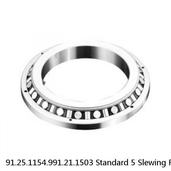 91.25.1154.991.21.1503 Standard 5 Slewing Ring Bearings