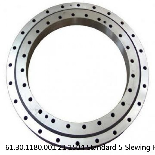 61.30.1180.001.21.1504 Standard 5 Slewing Ring Bearings