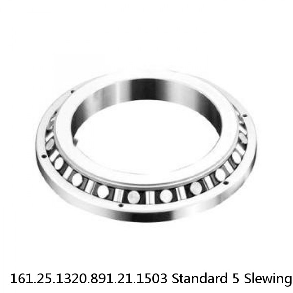 161.25.1320.891.21.1503 Standard 5 Slewing Ring Bearings