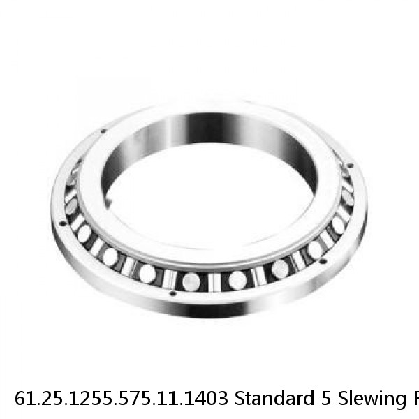 61.25.1255.575.11.1403 Standard 5 Slewing Ring Bearings