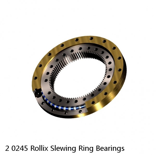 2 0245 Rollix Slewing Ring Bearings